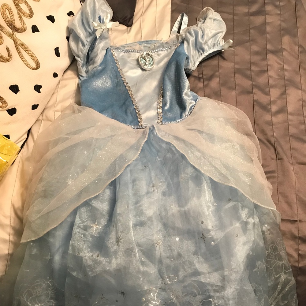 Cinderella dress/costume!